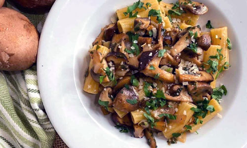 Creamy Mushroom Pasta served fresh with chopped parsley garnish